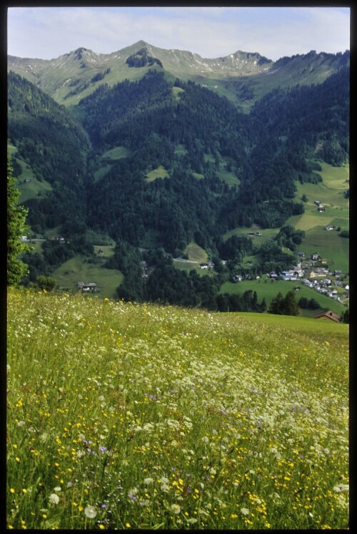 [Raggal, Magerwiese am Labomweg]