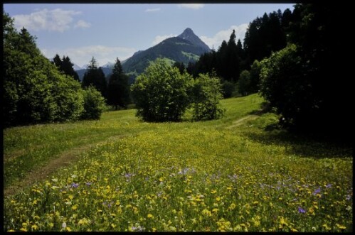 [Raggal, Labom mit Kellaspitze]