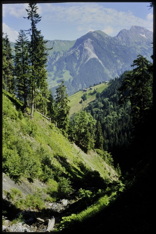 [Sonntag, Blick von Stein Richtung Blasenka]