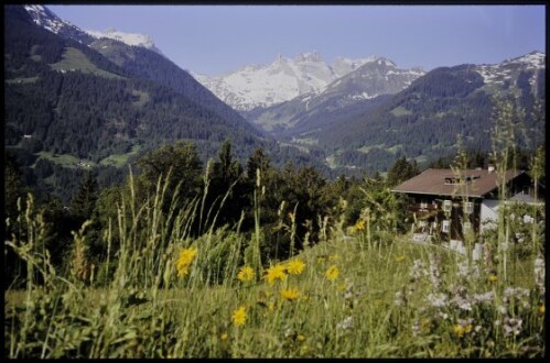 [Bartholomäberg, Magerwiese ob Grünem Wald]
