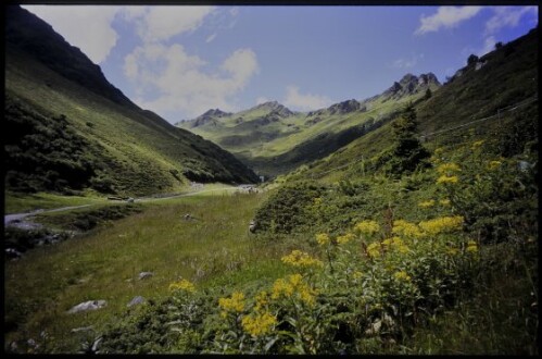 [St. Gallenkirch, Gargellner Alptobel]