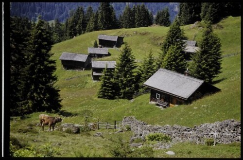 [St. Gallenkirch, Maisäß Montiel]
