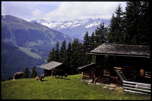 [St. Gallenkirch, Netzamaisäß]