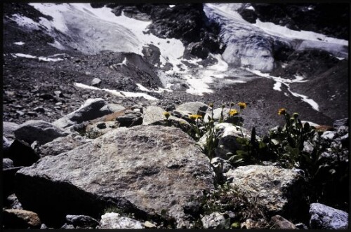 [Gaschurn, Vorfeld Litznergletscher]