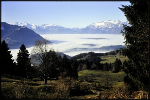 [Walgau, Blick von Ludescherberg auf Talnebel]