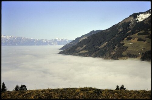 [Walgau, Blick von Ludescherberg auf Talnebel]