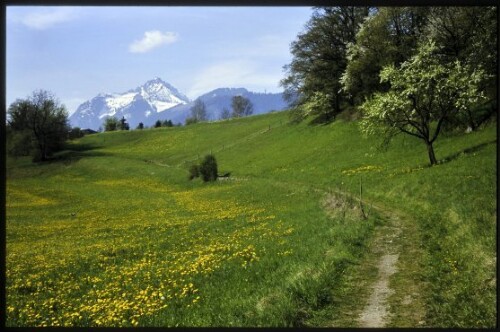 [Göfis, Haldenweg Kirchdorf-Agasella]