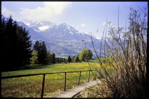 [Röns, Walgauweg Neutrassierung]