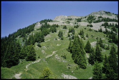 [Schnifis, Hochgerach]