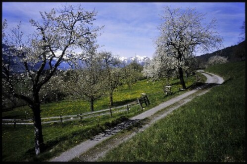 [Schnifis, Walgauweg]