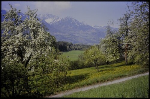 [Schnifis, Walgauweg]