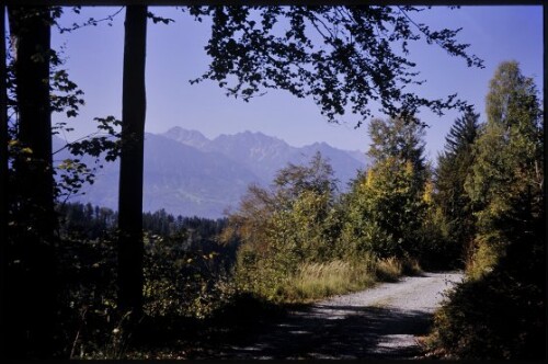 [Thüringen-Schnifis, Walgauweg im Wald]