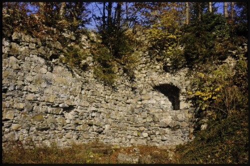 [Thüringerberg, Ruine Blumenegg]