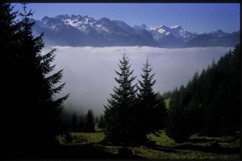 [Walgau, Blick vom Muttersberg auf Talnebel]