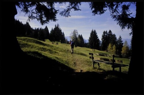 [Raggal, Wiesweg zum Ludescherberg]