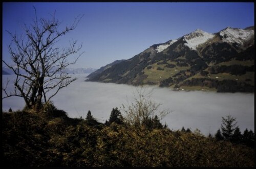 [Walgau, Blick vom Ludescherberg auf Talnebel]