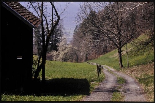 [Bludenz, Gasünd]