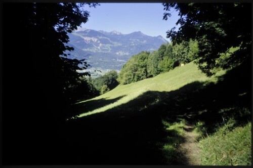 [Bludenz, Weg zu Gasünder Bühel]