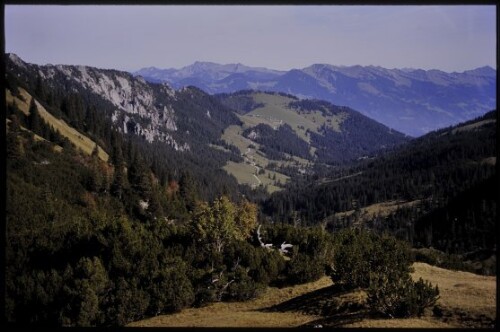 [Nenzing, Gamp im Blick vom Mattajoch]