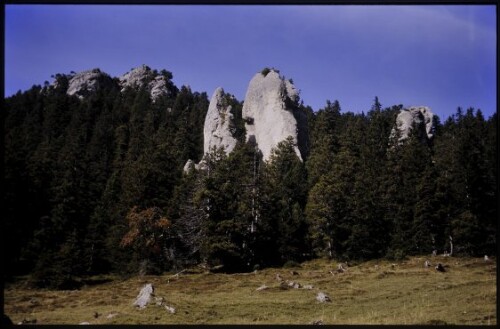 [Nenzing, Geotope Gampalpe]