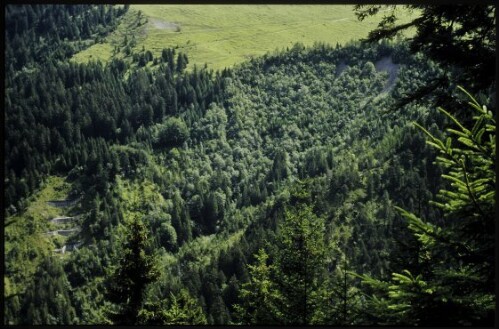 [Nenzing, Filpritter Rüfe]