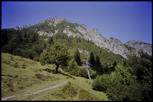 [Nenzing, Alpweg Galina mit Hohen Köpfen]