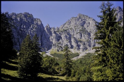 [Nenzing, Hohe Köpfe ob Sattelalpe]