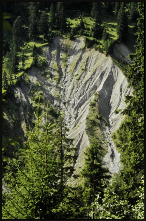 [Nenzing, Rüfe bei Sattelalpe]