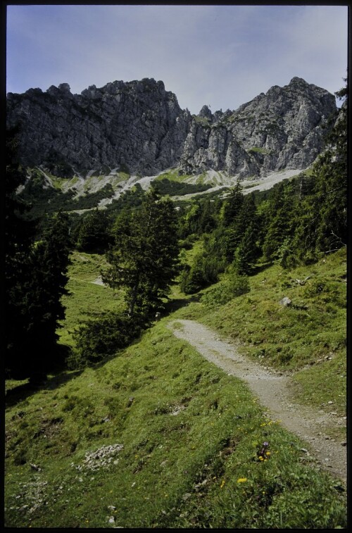 [Nenzing, Sattelalpe]