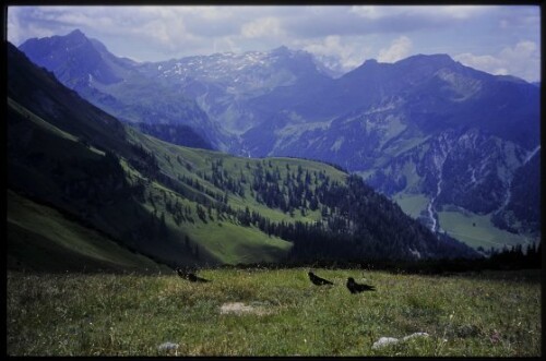 [Nenzing, Amatschonjoch]