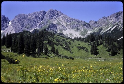 [Bürserberg, Alte Statt gegen Alpilakopf]