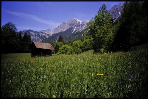 [Innerbraz, Lehrpfad]