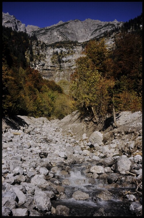 [Klösterle, Rosengarten]