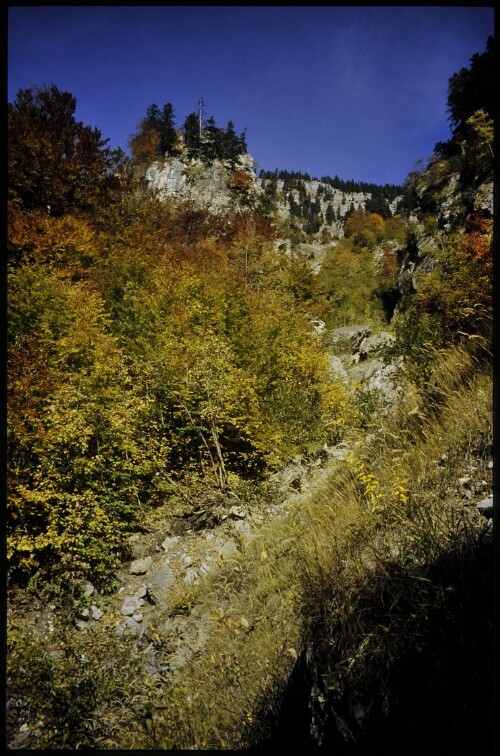 [Innerbraz, Schanatobel]