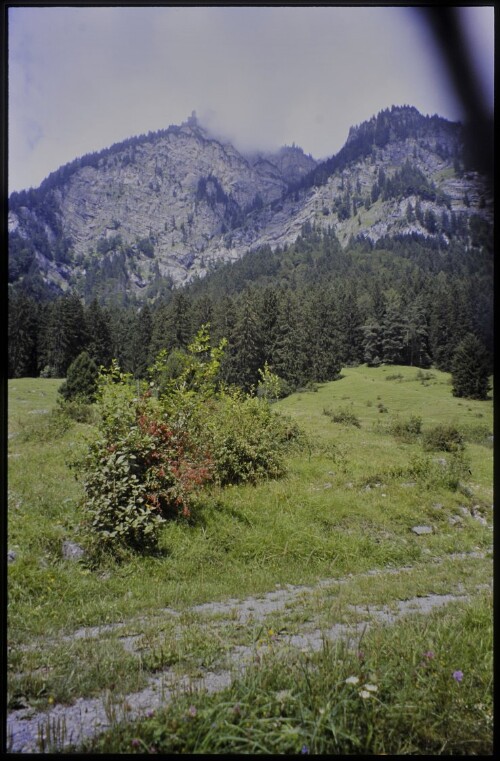 [Bludenz, Braz zwischen Allmakreuz und Grubs]