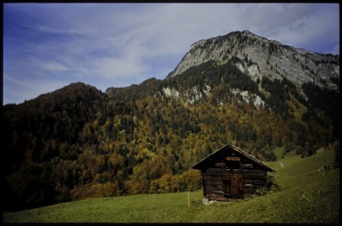 [Dalaas, Hintergant]