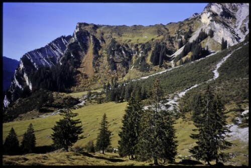 [Dalaas, Mustrin- und Heubergalpe]