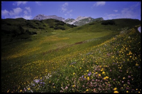 [Lech, Oberlech unter Gipslöchern]