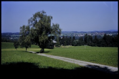 [Hohenweiler, Blick auf Sigmarszell]