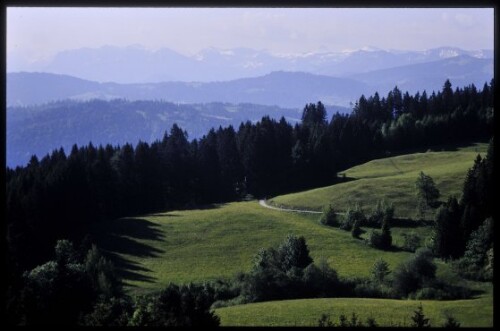 [Bregenz, Blick vom Pfänder in den Bregenzerwald]