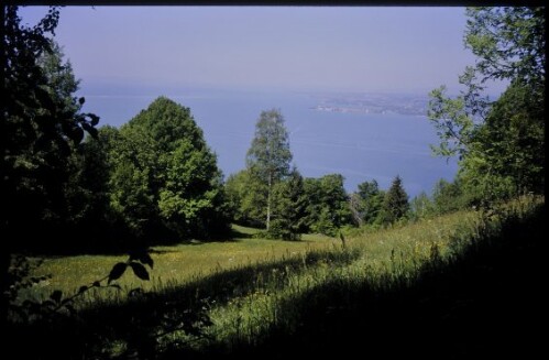 [Lochau, Ausblick vom Hintermoos]