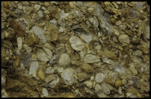 [Sibratsgfäll, Nagelfluh]