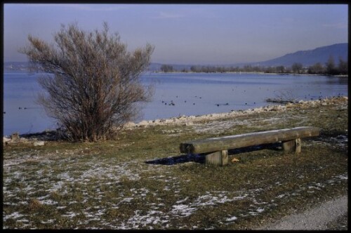 [Hard, Grüner Damm]