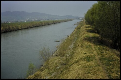 [Lustenau, Rheinbett]