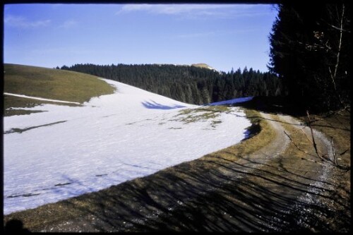 [Langen, Hirschberg bei Schneeschmelze]