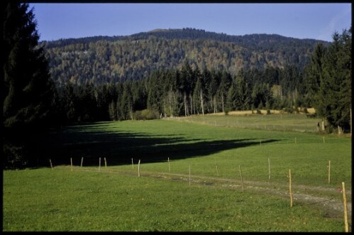 [Langen, Gschwender Moos]