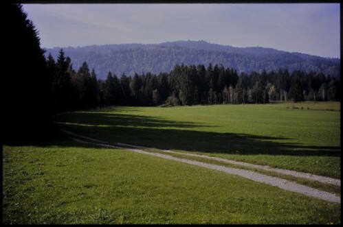 [Langen, zw. Gschwender Moos u. Leckenbach]