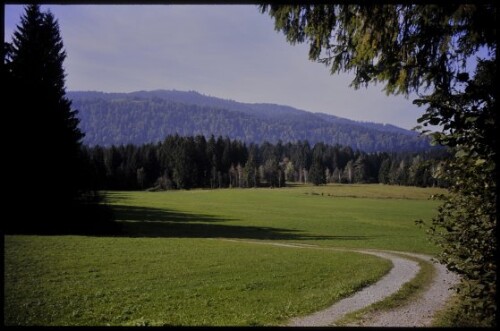 [Langen, zw. Gschwender Moos u. Leckenbach]