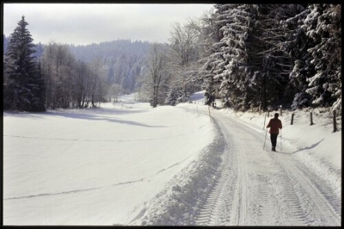 [Möggers, Riedweg im Winter]