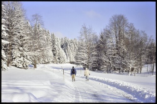 [Möggers, Riedweg im Winter]